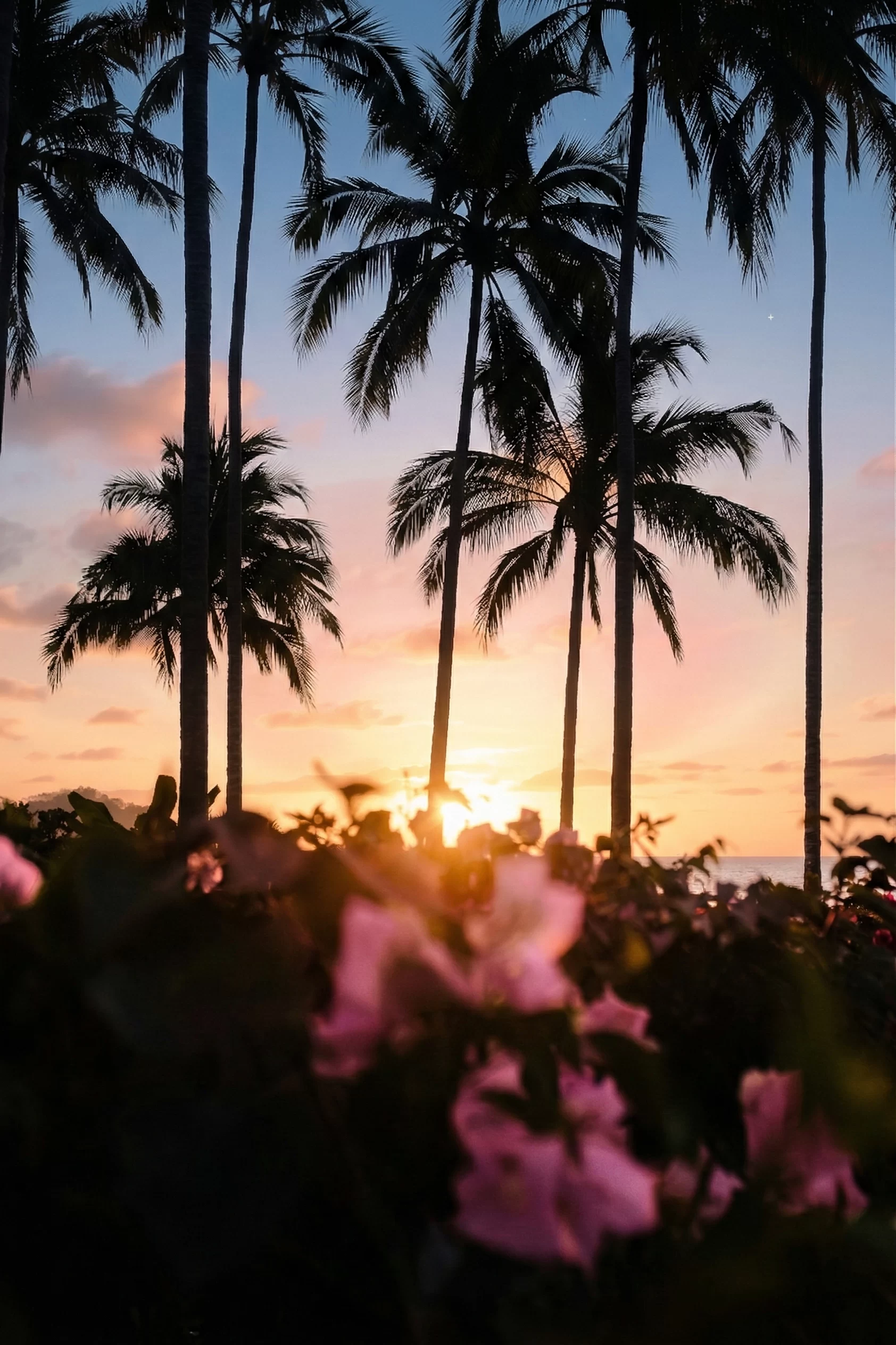 Sayulita Real Estate Investment Guide 2026 | LunaMar Estates