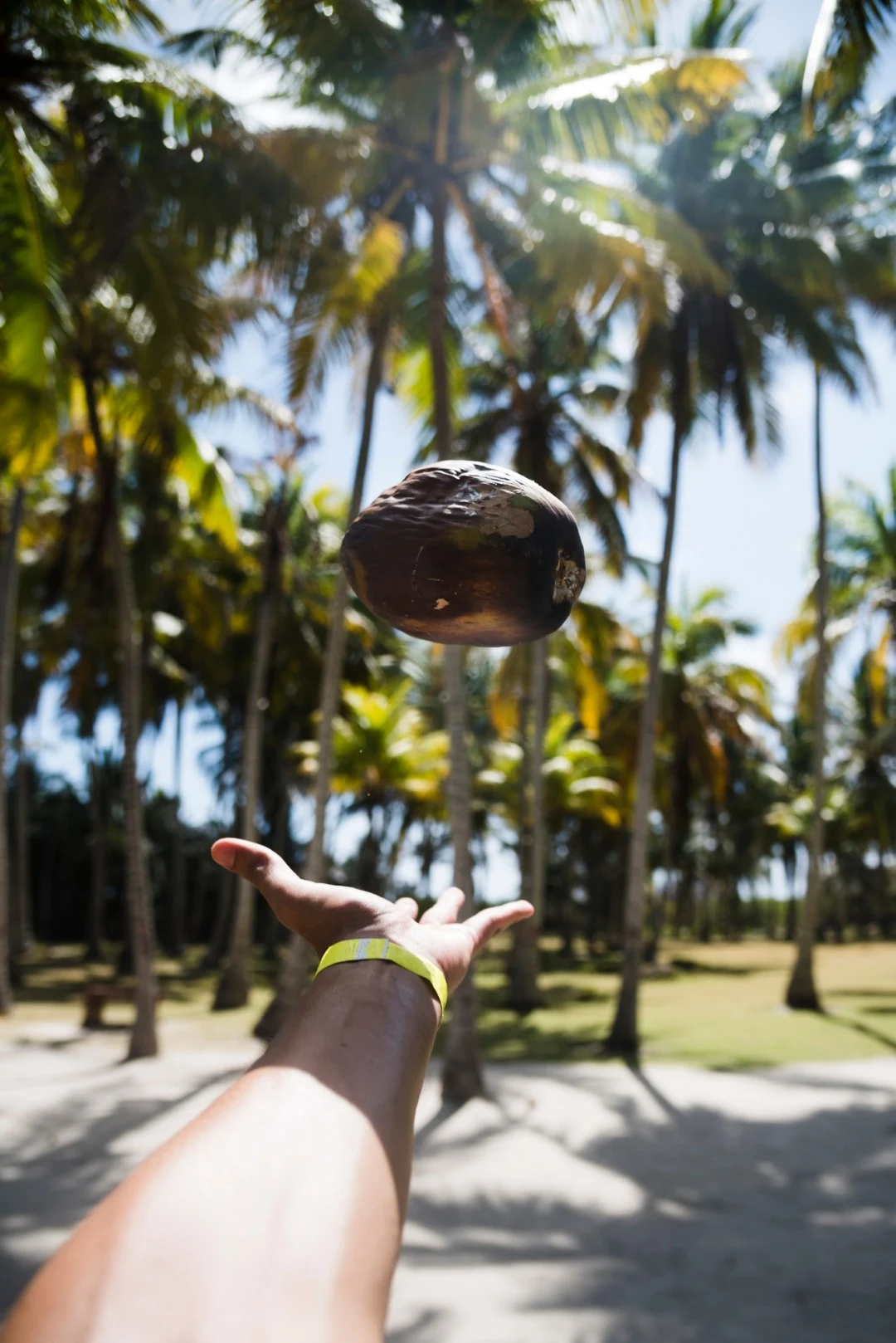 Buying a Home in a Surf Town in Mexico: What Foreign Buyers Need to Know | LunaMar Estates Sayulita